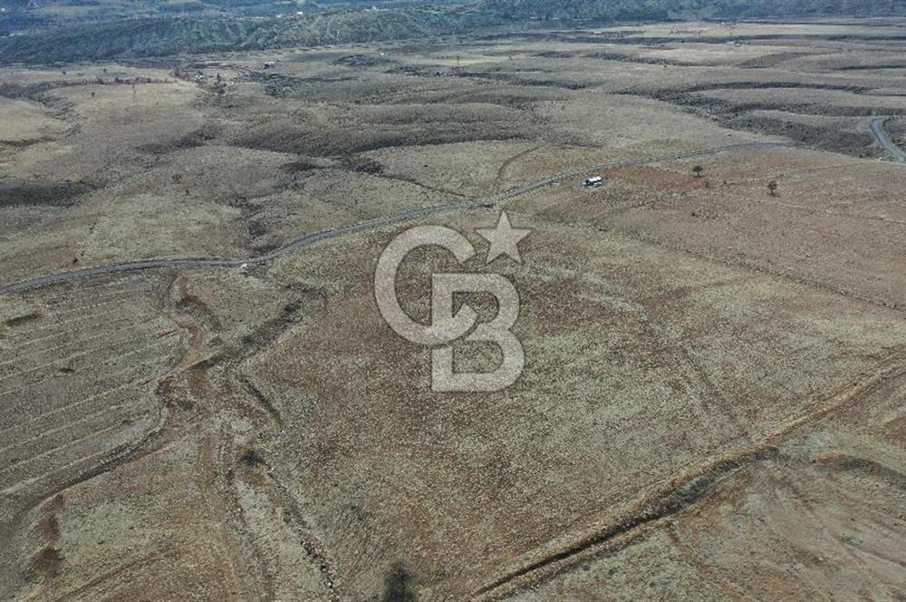 Niğde ulukışla hasangazi köyünde s