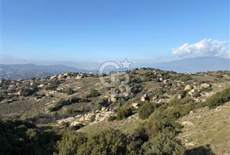 Yatağan Çakırlar'da Satılık 71 Dönüm Çiftlik Yapımına Uygun Arazi  - 1 - 335446