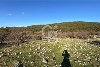 Menteşe, Çiftlik'te Satılık 4.163 m² Tarla - 1 - 335455