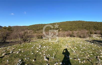 Menteşe, Çiftlik'te Satılık 4.163 m² Tarla