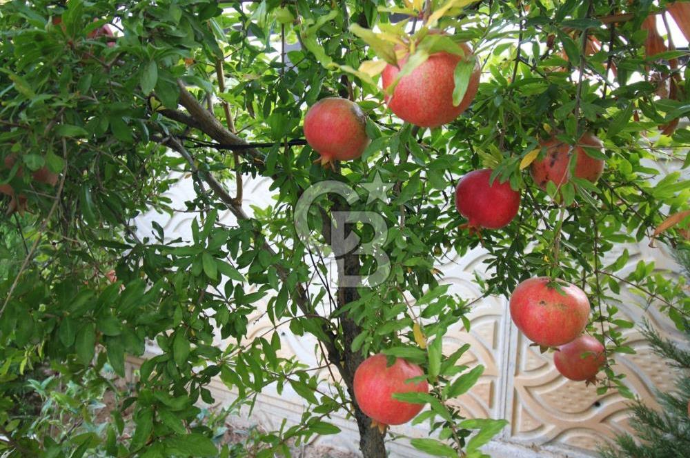 GÜZELBAHÇE ÇAMLI’DA SATILIK 4+2 LÜKS TRİPLEKS VİLLA