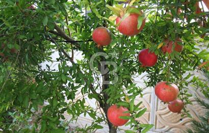 GÜZELBAHÇE ÇAMLI’DA SATILIK 4+2 LÜKS TRİPLEKS VİLLA