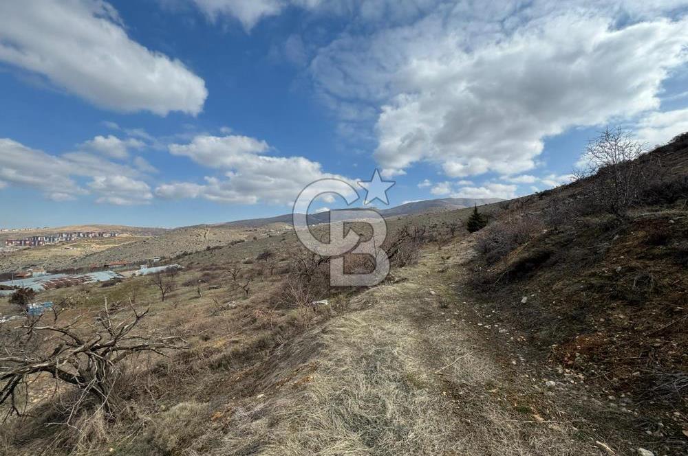 COLDWELL BANKER SAFİR'den KONAK da 625 m² ACİL SATILIK BAHÇE