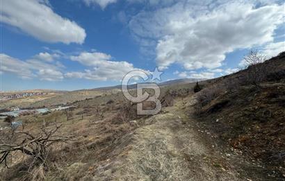 COLDWELL BANKER SAFİR'den KONAK da 625 m² ACİL SATILIK BAHÇE