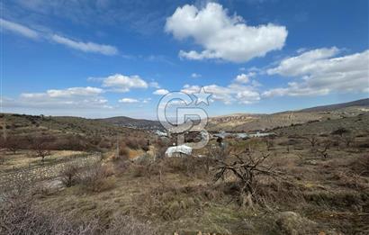 COLDWELL BANKER SAFİR'den KONAK da 625 m² ACİL SATILIK BAHÇE