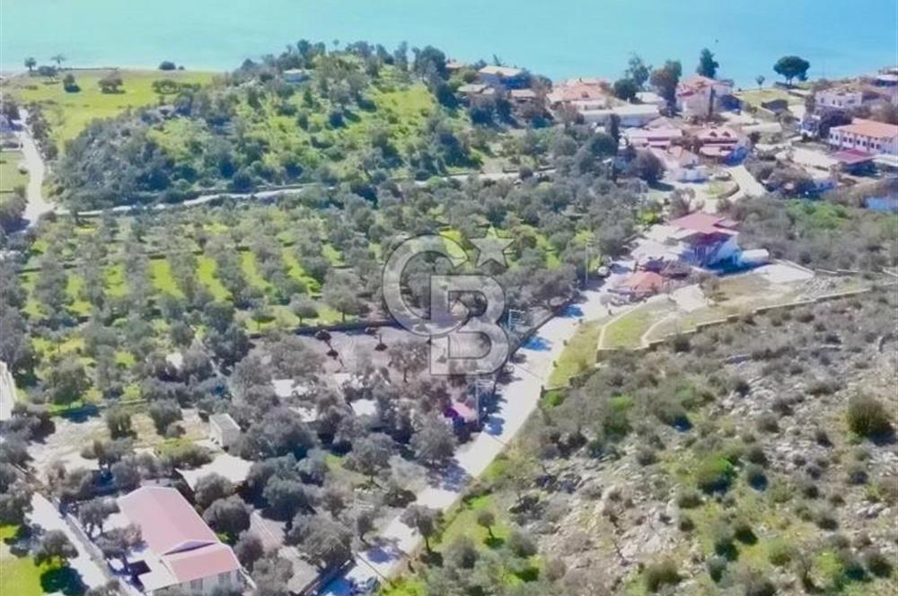 Bodruma Yakın Gökbelde  Satılık 1839 m² Çok Prim Yapacak Arazi