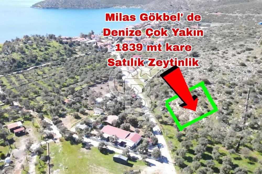 Bodruma Yakın Gökbelde  Satılık 1839 m² Çok Prim Yapacak Arazi