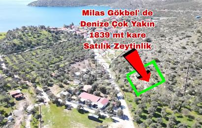 Bodruma Yakın Gökbelde  Satılık 1839 m² Çok Prim Yapacak Arazi