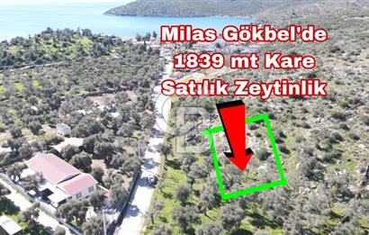 Bodruma Yakın Gökbelde  Satılık 1839 m² Çok Prim Yapacak Arazi