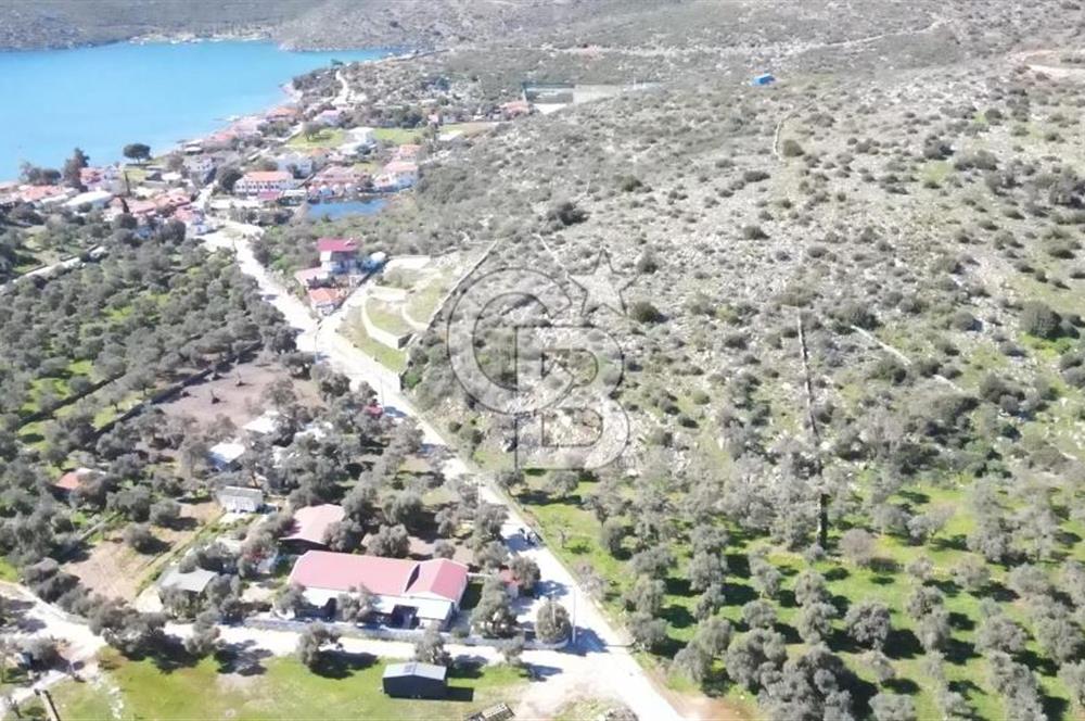 Bodruma Yakın Gökbelde  Satılık 1839 m² Çok Prim Yapacak Arazi