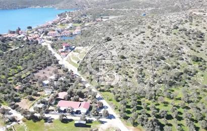 Bodruma Yakın Gökbelde  Satılık 1839 m² Çok Prim Yapacak Arazi