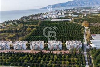 FİNİKE DE CB ARDEN DEN DENİZE YÜRÜME MESAFESİNDE SATILIK DAİRE - 6 - 335452