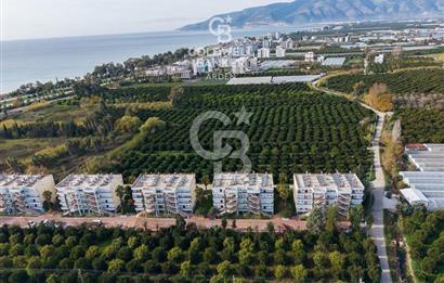 FİNİKE DE CB ARDEN DEN DENİZE YÜRÜME MESAFESİNDE SATILIK DAİRE