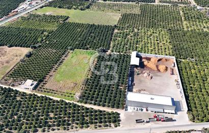 Mersin Akdeniz Sarııbrahimli Satılık Bahçe Arazi