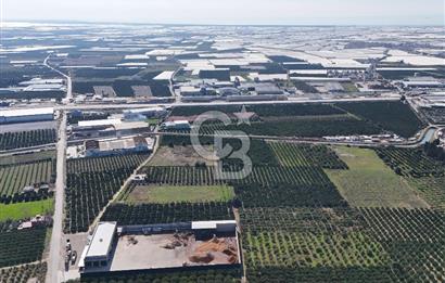 Mersin Akdeniz Sarııbrahimli Satılık Bahçe Arazi
