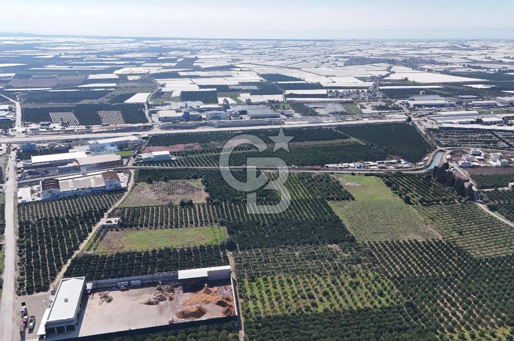Mersin Akdeniz Sarııbrahimli Satılık Bahçe Arazi