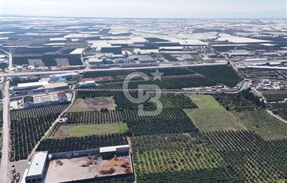 Mersin Akdeniz Sarııbrahimli Satılık Bahçe Arazi