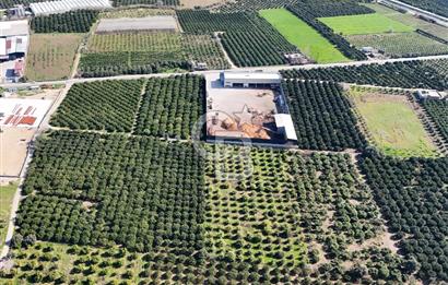 Mersin Akdeniz Sarııbrahimli Satılık Bahçe Arazi