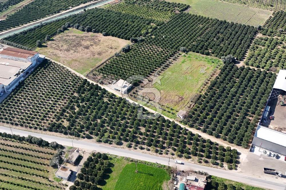 Mersin Akdeniz Sarııbrahimli Satılık Bahçe Arazi