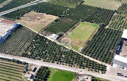 Mersin Akdeniz Sarııbrahimli Satılık Bahçe Arazi