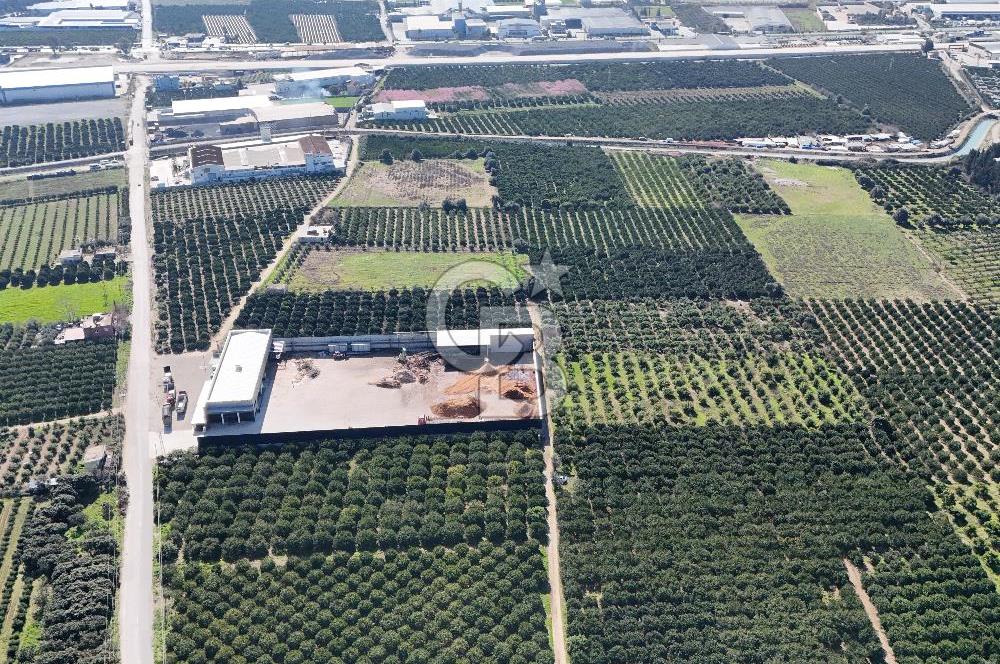 Mersin Akdeniz Sarııbrahimli Satılık Bahçe Arazi