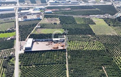 Mersin Akdeniz Sarııbrahimli Satılık Bahçe Arazi