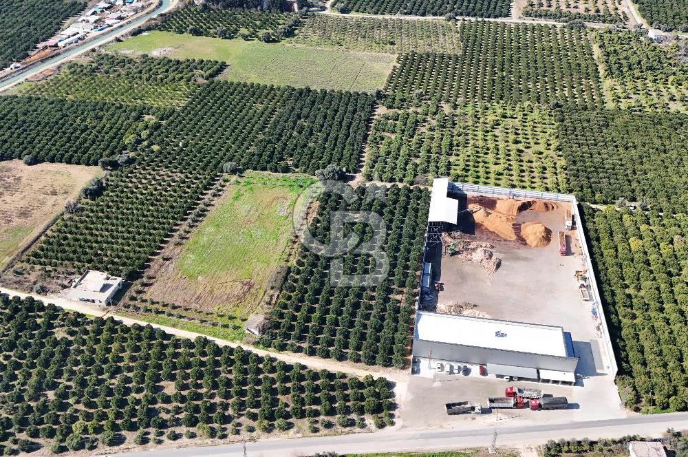Mersin Akdeniz Sarııbrahimli Satılık Bahçe Arazi