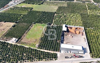 Mersin Akdeniz Sarııbrahimli Satılık Bahçe Arazi