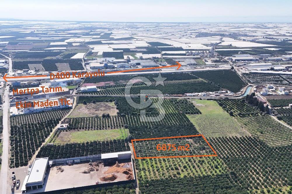 Mersin Akdeniz Sarııbrahimli Satılık Bahçe Arazi