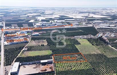 Mersin Akdeniz Sarııbrahimli Satılık Bahçe Arazi