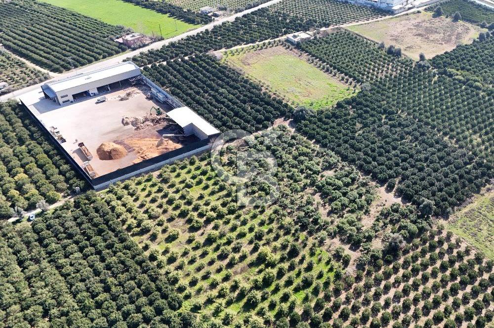 Mersin Akdeniz Sarııbrahimli Satılık Bahçe Arazi