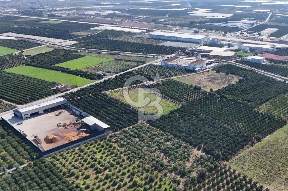 Mersin Akdeniz Sarııbrahimli Satılık Bahçe Arazi