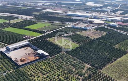 Mersin Akdeniz Sarııbrahimli Satılık Bahçe Arazi