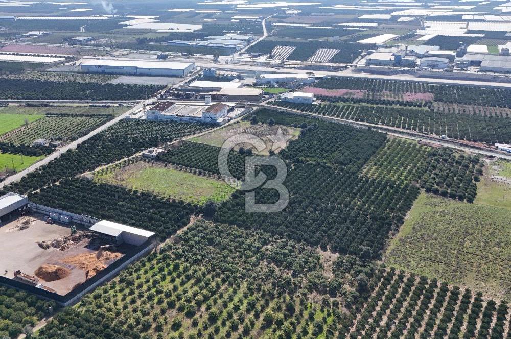 Mersin Akdeniz Sarııbrahimli Satılık Bahçe Arazi