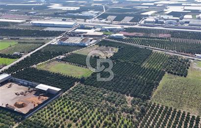 Mersin Akdeniz Sarııbrahimli Satılık Bahçe Arazi