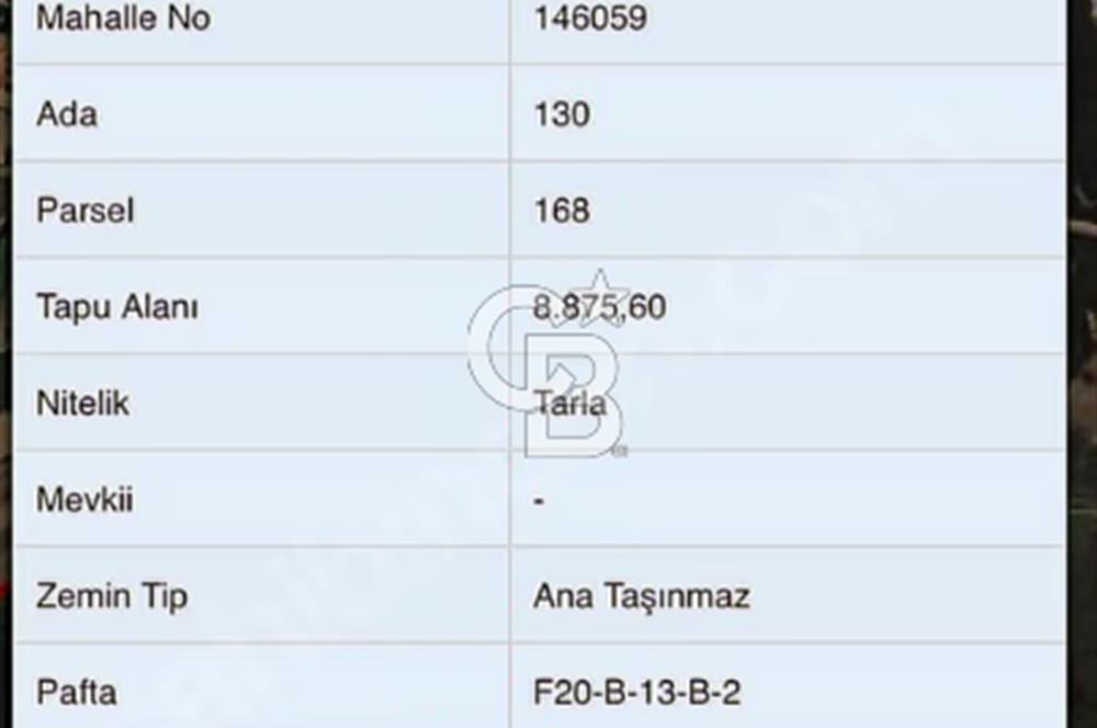 İSTANBUL ÇATALCA KARACAKÖY SATILIK UYGUN TARLA