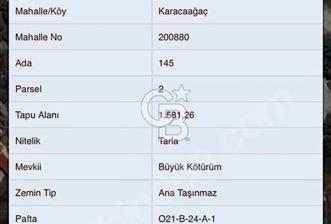 MUĞLA DALAMAN KARACAAĞAÇLIK  SULAK TARLA - 1 - 335577
