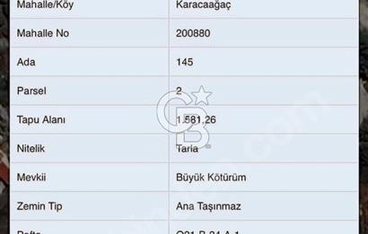 MUĞLA DALAMAN KARACAAĞAÇLIK  SULAK TARLA