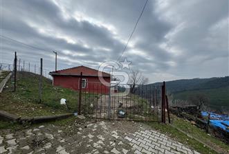 bergama halilağalarda satılık arsa içinde taş ev  - 1 - 335558