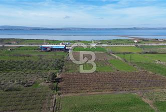 📍ÇARDAK’TA MERKEZİ KONUMDA ŞEFTALİ AĞAÇLI SATILIK TARLA  - 5 - 335639