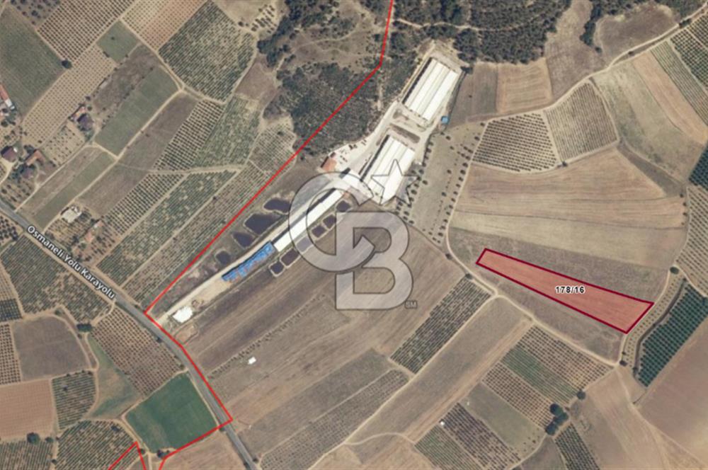 BİLECİK OSMANELİ DÜZMEŞE KÖYÜ YOLA YAKIN 6.583 m2 TEK TAPU TARLA