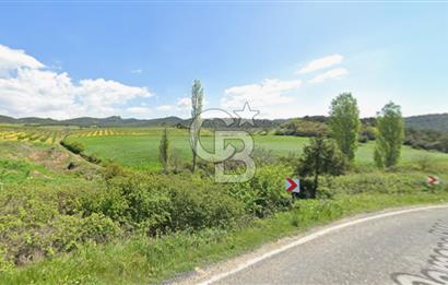 BİLECİK OSMANELİ DÜZMEŞE KÖYÜ YOLA YAKIN 6.583 m2 TEK TAPU TARLA