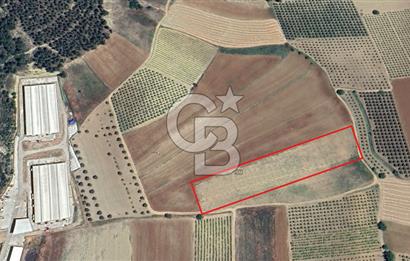 BİLECİK OSMANELİ DÜZMEŞE KÖYÜ YOLA YAKIN 6.583 m2 TEK TAPU TARLA