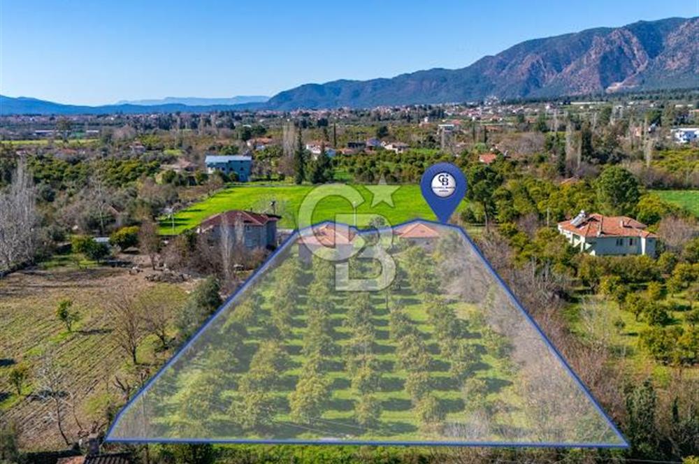 MUĞLA KÖYCEĞİZDE SATILIK TARLA VE MÜSTAKİL DAiRELER