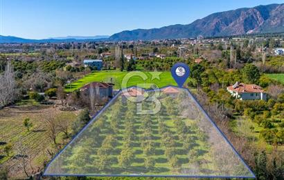 MUĞLA KÖYCEĞİZDE SATILIK TARLA VE MÜSTAKİL DAiRELER