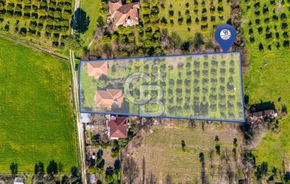 MUĞLA KÖYCEĞİZDE SATILIK TARLA VE MÜSTAKİL DAiRELER