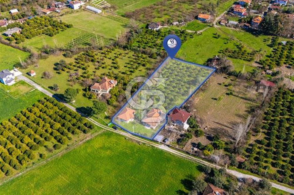 MUĞLA KÖYCEĞİZDE SATILIK TARLA VE MÜSTAKİL DAiRELER