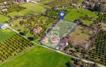 MUĞLA KÖYCEĞİZDE SATILIK TARLA VE MÜSTAKİL DAiRELER