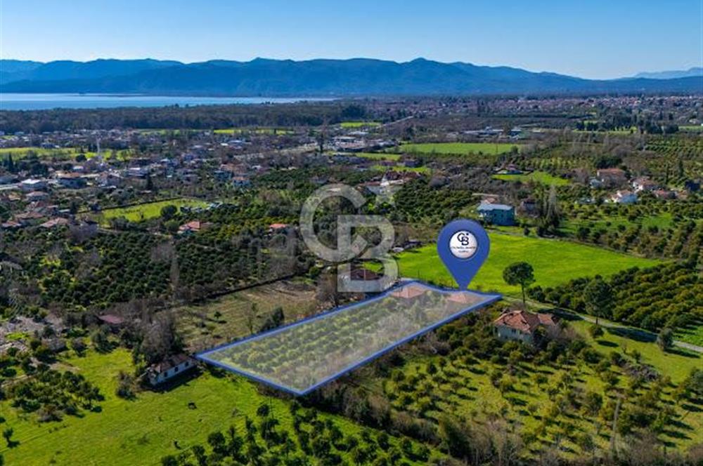 MUĞLA KÖYCEĞİZDE SATILIK TARLA VE MÜSTAKİL DAiRELER