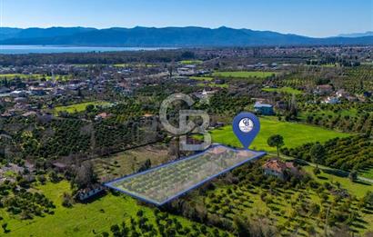 MUĞLA KÖYCEĞİZDE SATILIK TARLA VE MÜSTAKİL DAiRELER